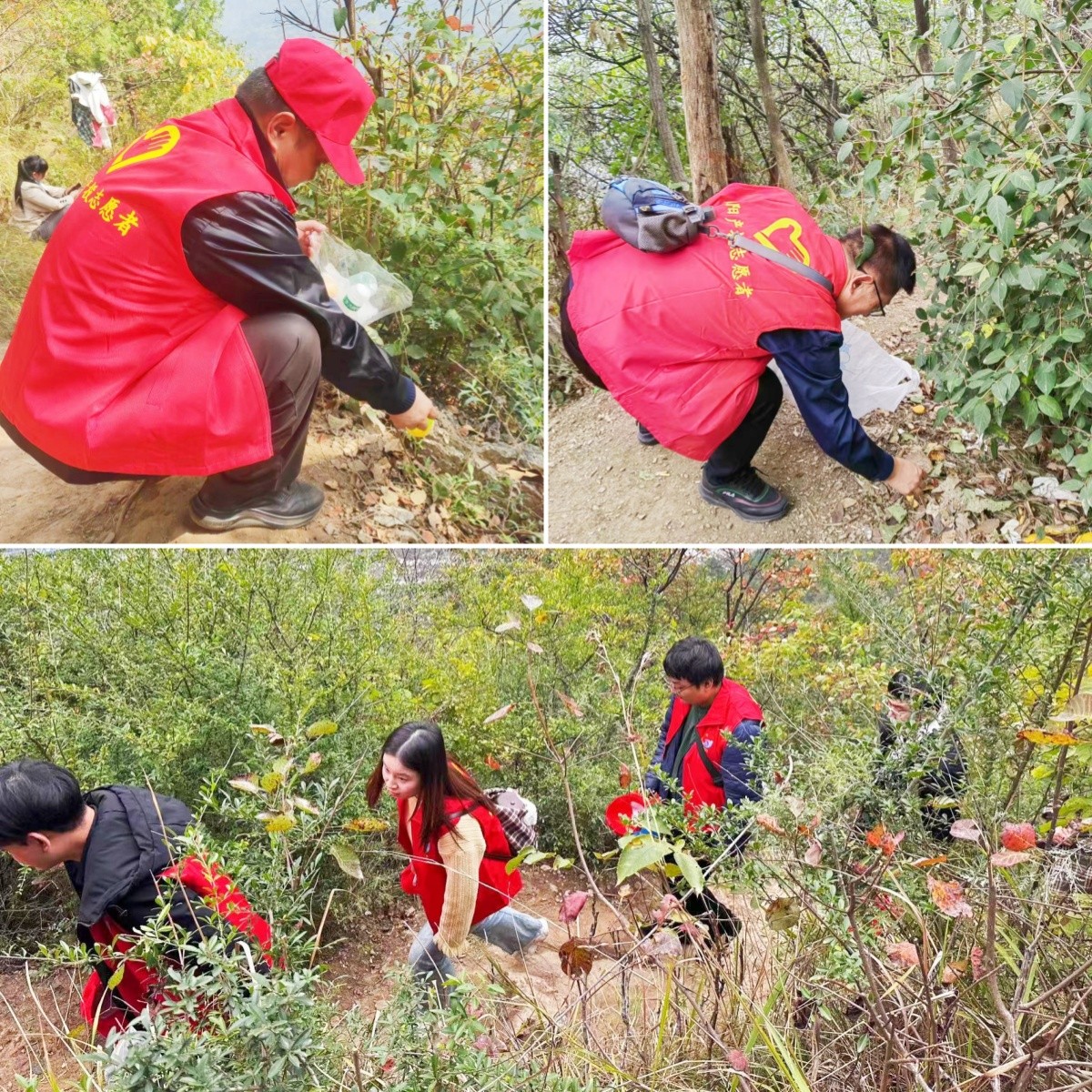 1730082731602720.jpg 微信图片_20241025162410_副本1.jpg